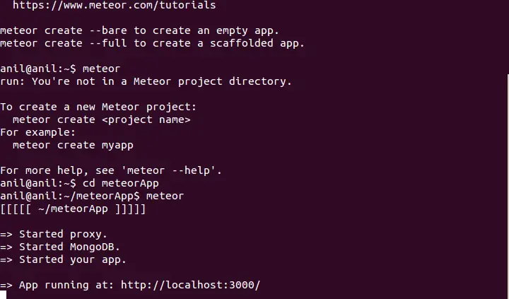 Meteor First Application